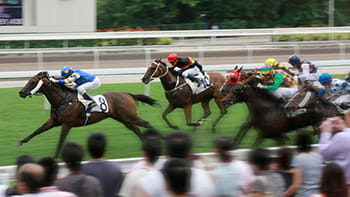 Horse Race Betting Explained