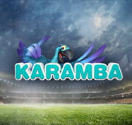 Baseball image with the Karamba logo