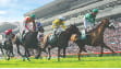 The betting site bet365 is famous for their live betting offers including horse racing