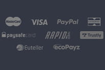 Various payment options accepted by NetBet.