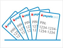 Five PIN cards all stored in one place
