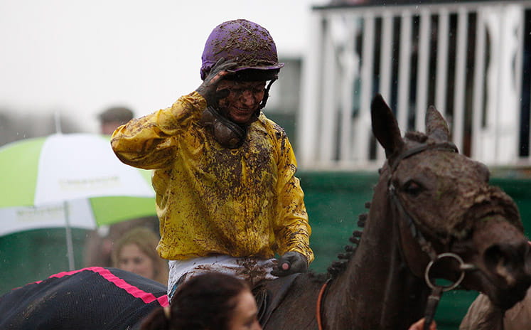 lanzarote handicap hurdle preview saturday 14th january firebird flyer