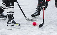 Two bandy players in-game