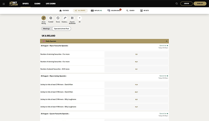 BetMGM website image 3