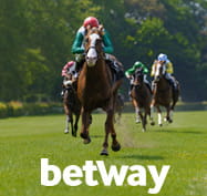 Racing horses with the Betway logo