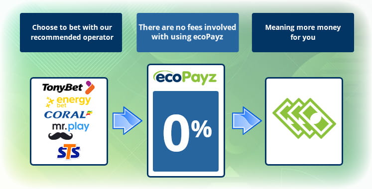 The ecoPayz fees diagram