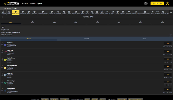 HeySpin website image 3