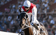 A jockey in action