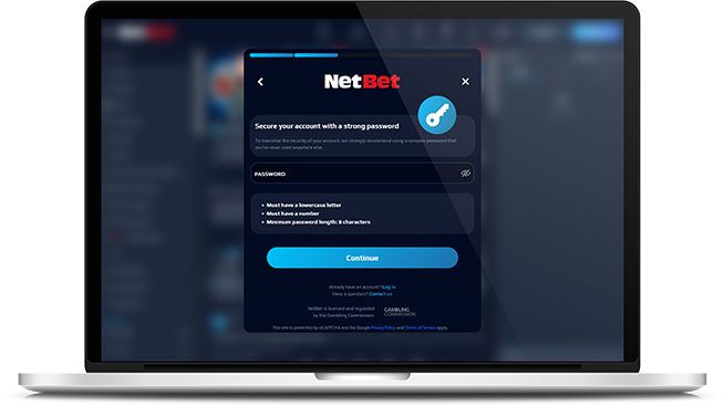 Various payment options accepted by NetBet.