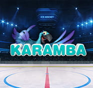 Ice hockey stadium with Karamba logo