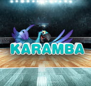 Volleyball court with Karamba logo
