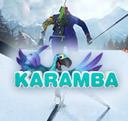 Winter sports image with the Karamba logo