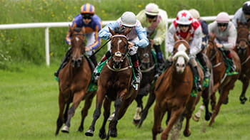Horse racing and Lucky 15 bets