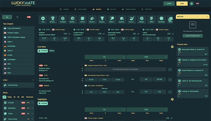 LuckyMate website image 1