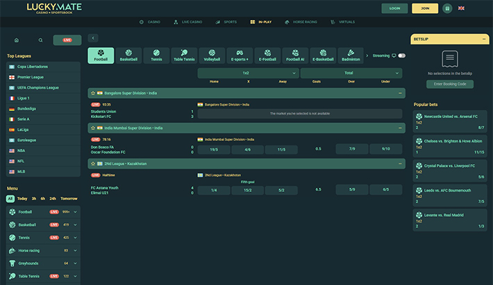 LuckyMate website image 2