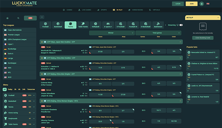 LuckyMate website image 3
