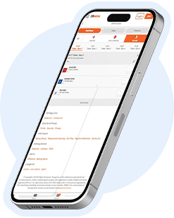 MrMega mobile site