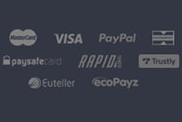 Various payment options accepted by NetBet.