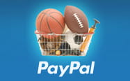 The phrase PayPal underneath a basket containing a bunch of different balls for sports