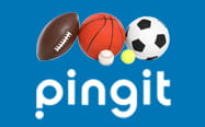 Pingit logo