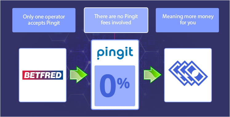 Fees for using Pingit