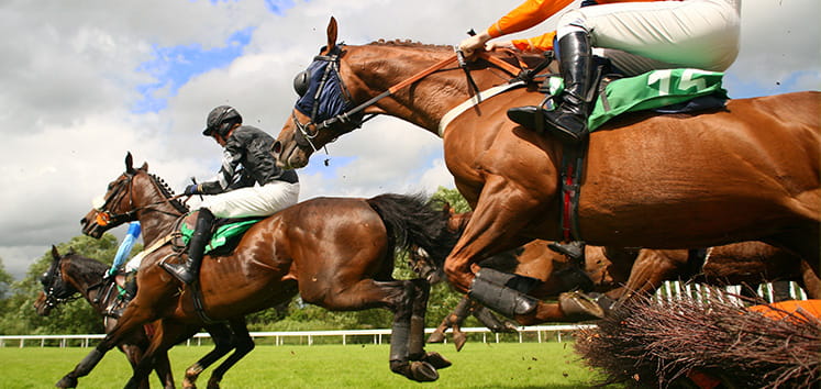 Horses running