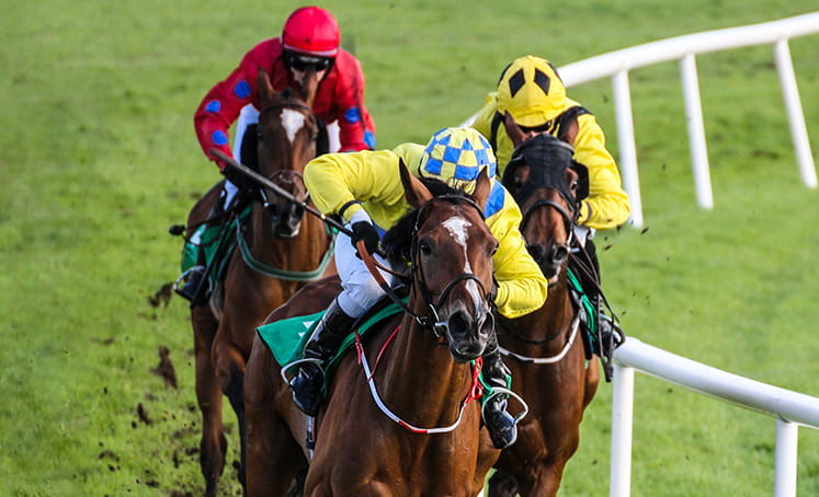 Grand national betting each way calculator Grand national betting each way calculator the best crypto card
