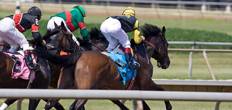 racing horses