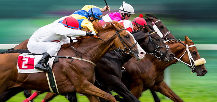 horses racing