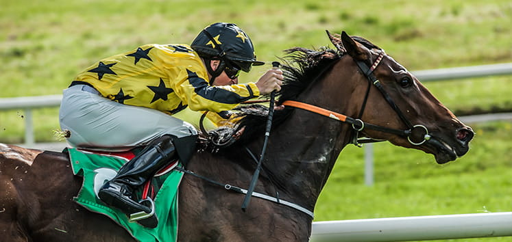 horse racing on track
