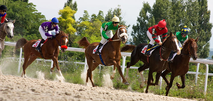 horses on track