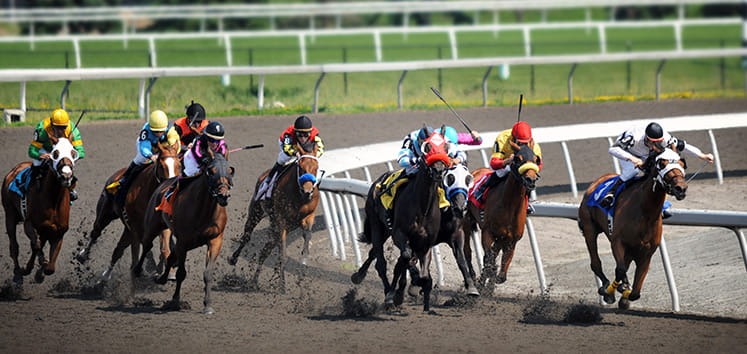 horse race running