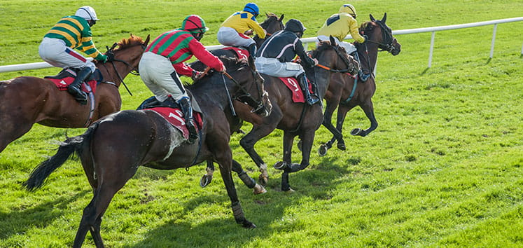 English horses racing