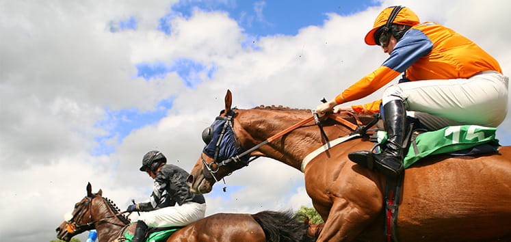two horses with riders