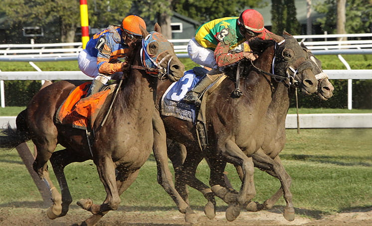 A close-up picture of two brown horses racing