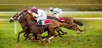 Horse racing at Aintree
