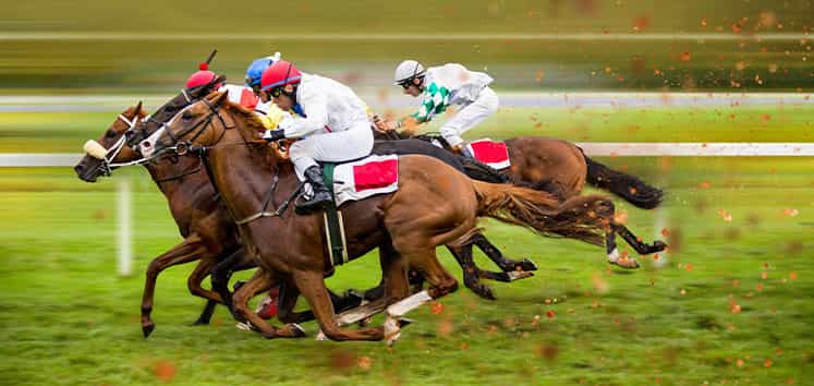 Horse racing at Aintree