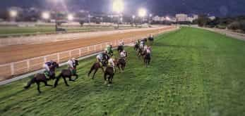 Horse racing