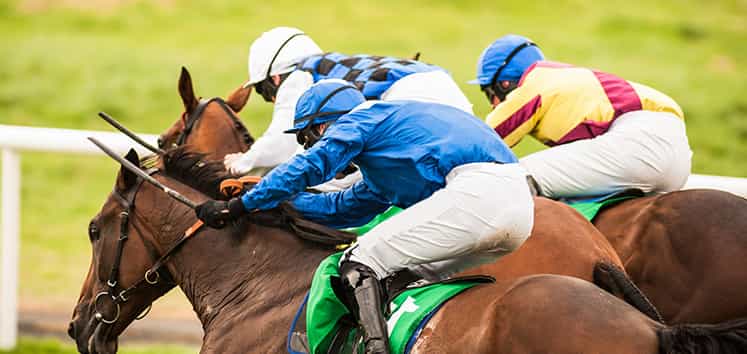 Horse racing