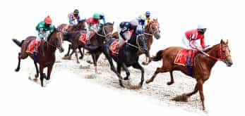 Multiple jockeys racing on a track