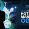 Next Tottenham Hotspur Manager Odds - Roberto De Zerbi Installed as Favourite